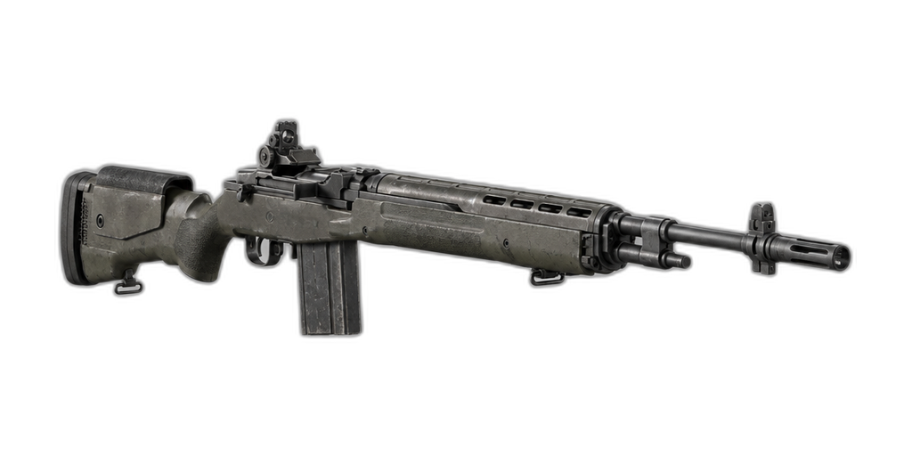 M39 EMR